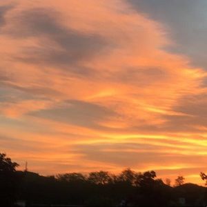 Meet your Posher, Pooja